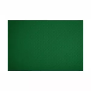 Set de table 30x40cm Vert sapin COLOR (13B01)